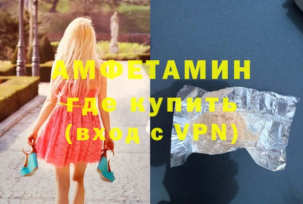 СК Ельня