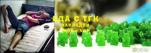 СК Ельня