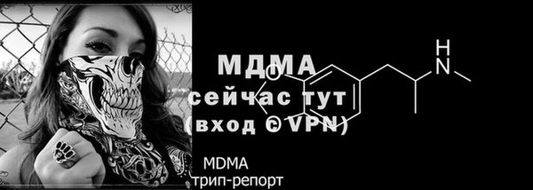 СК Ельня