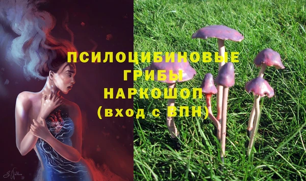 соль курить ск Елабуга