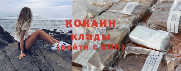 СК Ельня
