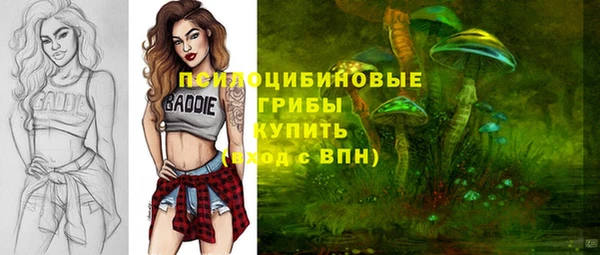 СК Ельня