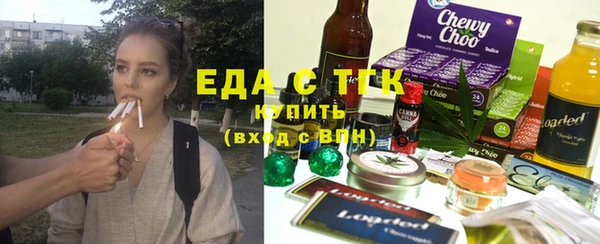 СК Ельня
