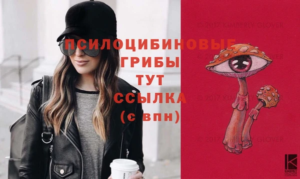 соль курить ск Елабуга