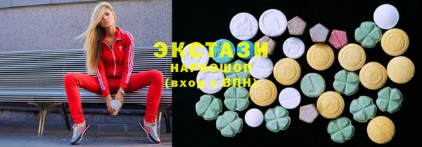 СК Ельня