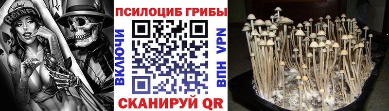 Купить  Заволжье  Псилоцибиновые грибы мухоморы 
